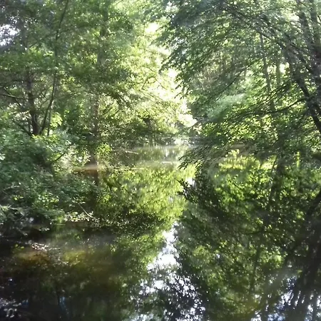 Ferienwohnung Kraniche, Seenaehe, Mecklenburgische Seenplatte Kuchelmiß