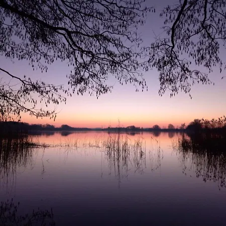 Kraniche, Seenaehe, Mecklenburgische Seenplatte Апартаменты Kuchelmiss