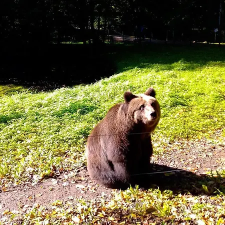 Ferienwohnung Kraniche, Seenaehe, Mecklenburgische Seenplatte *