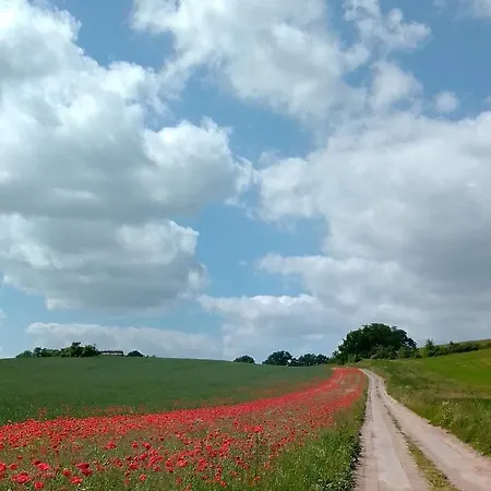 Ferienwohnung Kraniche, Seenaehe, Mecklenburgische Seenplatte * Kuchelmiß