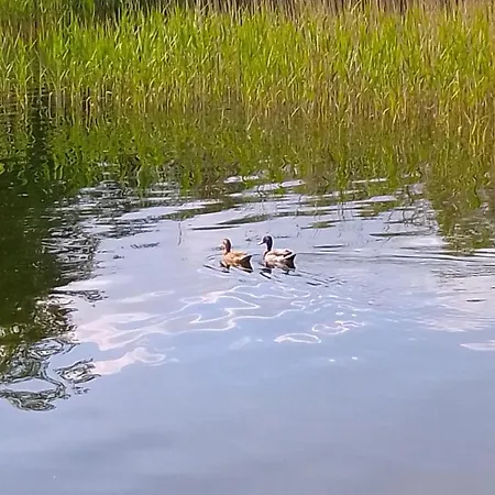 Ferienwohnung Kraniche, Seenaehe, Mecklenburgische Seenplatte * Kuchelmiß