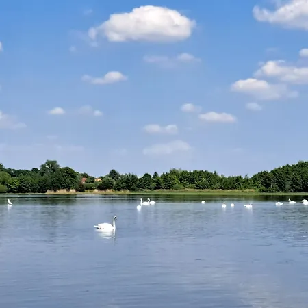 Kraniche, Seenaehe, Mecklenburgische Seenplatte Апартаменты Kuchelmiss