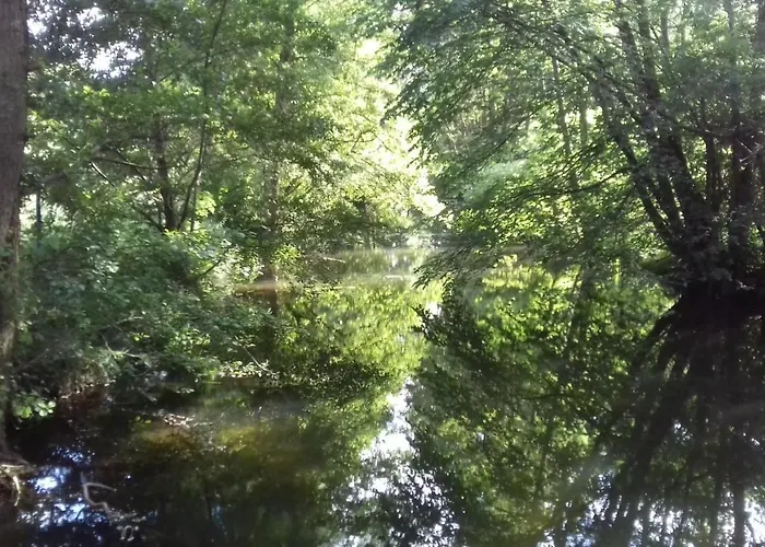 Ferienwohnung Kraniche, Seenaehe, Mecklenburgische Seenplatte Kuchelmiss
