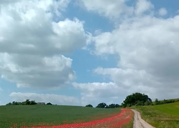 Ferienwohnung Kraniche, Seenaehe, Mecklenburgische Seenplatte * Kuchelmiss