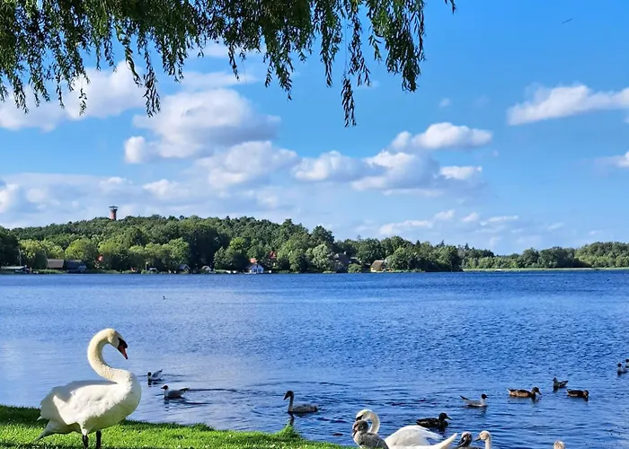 Apartamento Ferienwohnung Kraniche, Seenaehe, Mecklenburgische Seenplatte