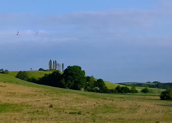 Ferienwohnung Kraniche, Seenaehe, Mecklenburgische Seenplatte *